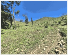  2025Ÿ31522  ɱ ָ հ 1048      (Ӿ)