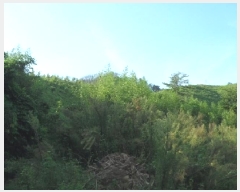  2025Ÿ31522  ɱ ָ հ 1048      (Ӿ)