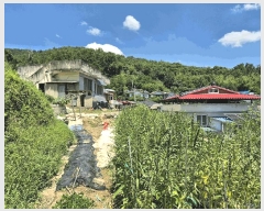  2025Ÿ31570  ɱ  긮 534      ()