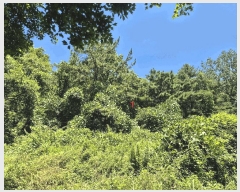  2025Ÿ31570  ɱ  긮 534      ()