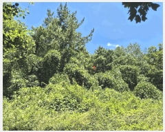  2025Ÿ31570  ɱ  긮 534      ()