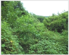  2025Ÿ31570  ɱ  긮 534      ()