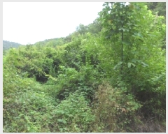  2025Ÿ31570  ɱ  긮 534      ()