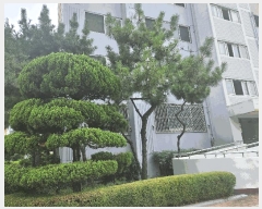  2025Ÿ31588 뱸 ޼  151, 106 1 109ȣ (굿,ѸƮ)   Ʈ