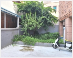  2025Ÿ31618 뱸 ޼  1992-20       ٰð