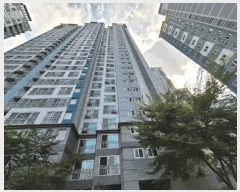  2025Ÿ��31648  ����Ʈ���