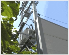  2025Ÿ31666 뱸   42-569       