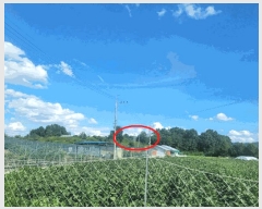  2025Ÿ��31684 ��� ���ֱ� ������ ���︮ 652      ����(��1)���