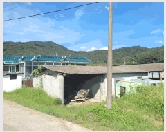  2025Ÿ31684 뱸  뵿2 88 ݷŸ 3308ȣ     Ʈ