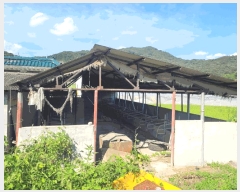  2025Ÿ31684 뱸  뵿2 88 ݷŸ 3308ȣ     Ʈ