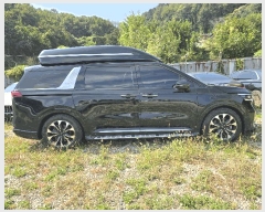  2025Ÿ31702 뱸  󸮵 295 ġ      