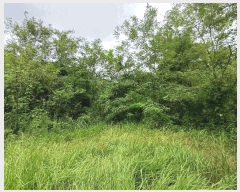  2025Ÿ��31714 �뱸 �޼��� ������ ���̸� 400-1      ����(��1)���