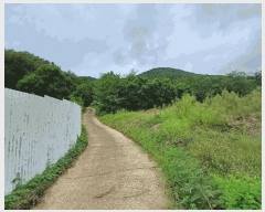  2025Ÿ��31714 �뱸 �޼��� ������ ���̸� 400-1      ����(��1)���