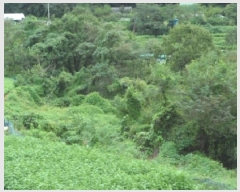  2025Ÿ��31714 �뱸 �޼��� ������ ���̸� 400-1      ����(��1)���