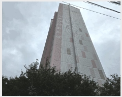  2025Ÿ��31769  ����Ʈ���