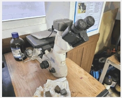  2025Ÿ��31859 ��� ���ɱ� �ٻ�� �۰ 1441-1      ������