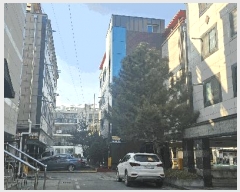  2025Ÿ��31919  �ٰ������ð��