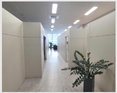  2025Ÿ��31946  ����Ʈ��������