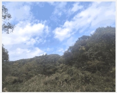  2025Ÿ��31961  �Ӿ߰��