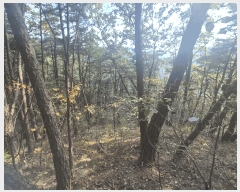  2025Ÿ��31961  �Ӿ߰��