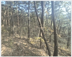  2025Ÿ��31961  �Ӿ߰��