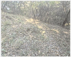  2025Ÿ��31961  �Ӿ߰��