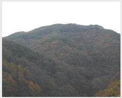  2025Ÿ��31961  �Ӿ߰��