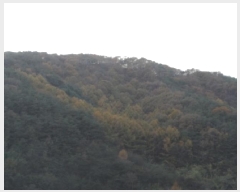  2025Ÿ��31961  �Ӿ߰��