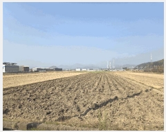  2025Ÿ��32001  ����