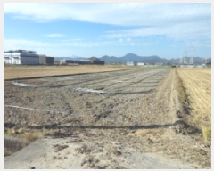  2025Ÿ��32001  ����