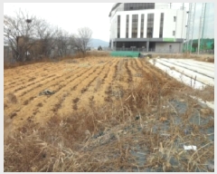  2025Ÿ��32036  ����