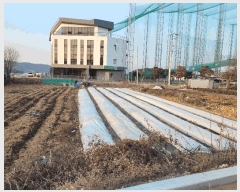  2025Ÿ��32036  ����