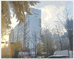  2025Ÿ��32098 �뱸 �޼��� ���ε� 1516 ���ο��Ÿ�� 203�� 10��1003ȣ    ����Ʈ���