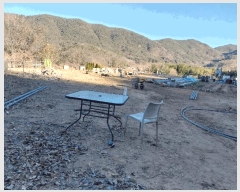  2025Ÿ��32121 �뱸 �޼��� ��â�� �ܻ긮 738      ����(������)���