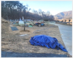  2025Ÿ��32121 �뱸 �޼��� ��â�� �ܻ긮 738      ����(������)���