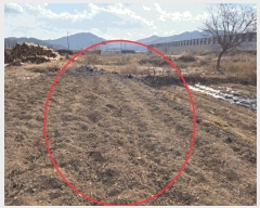  2025Ÿ��32176 �뱸 �޼��� ������ ��õ�� 482-1      ����(��)���