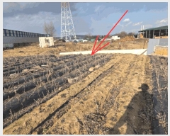  2025Ÿ��32176 �뱸 �޼��� ������ ��õ�� 482-1      ����(��)���