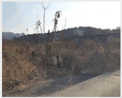  2025Ÿ��32247  ����