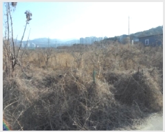  2025Ÿ��32247  ����