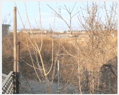  2025Ÿ��32247  ����