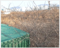  2025Ÿ��32247  ����