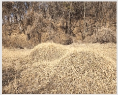  2025Ÿ��324 ��� ���ֱ� �밡�� ��ȭ�� 522-1      ����(��1)���