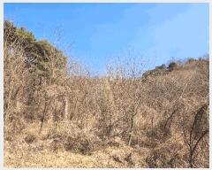  2025Ÿ��324 ��� ���ֱ� �밡�� ��ȭ�� 522-1      ����(��1)���