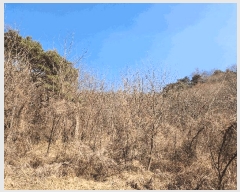  2025Ÿ��324 ��� ���ֱ� �밡�� ��ȭ�� 522-1      ����(��1)���