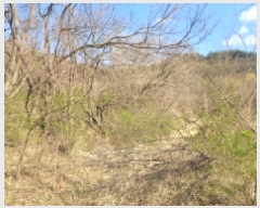  2025Ÿ��324 ��� ���ֱ� �밡�� ��ȭ�� 522-1      ����(��1)���