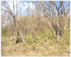  2025Ÿ��324 ��� ���ֱ� �밡�� ��ȭ�� 522-1      ����(��1)���