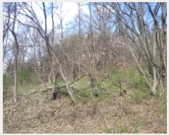  2025Ÿ��324 ��� ���ֱ� �밡�� ��ȭ�� 522-1      ����(��1)���