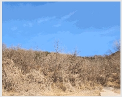  2025Ÿ��324 ��� ���ֱ� �밡�� ��ȭ�� 522-1      ����(��1)���