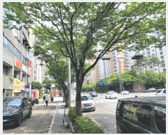  2025Ÿ��1280 �뱸 �޼��� ���ε� 42 �������Ͼ���Ʈ 105�� 16��1605ȣ    ����Ʈ���