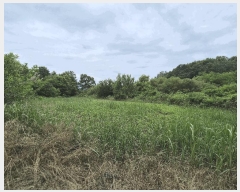  2025Ÿ��1709 ��� ���ֱ� ������ ��긮 784-1      ����(��1)���